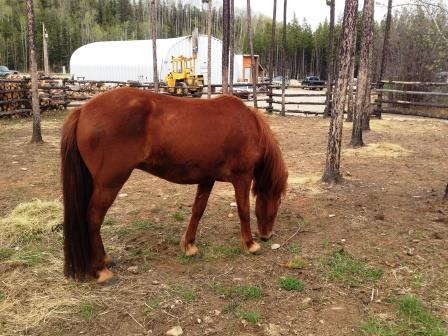 Tyra in the OK corral